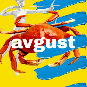 avgust square 1