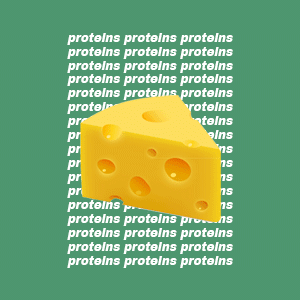 proteini square 1