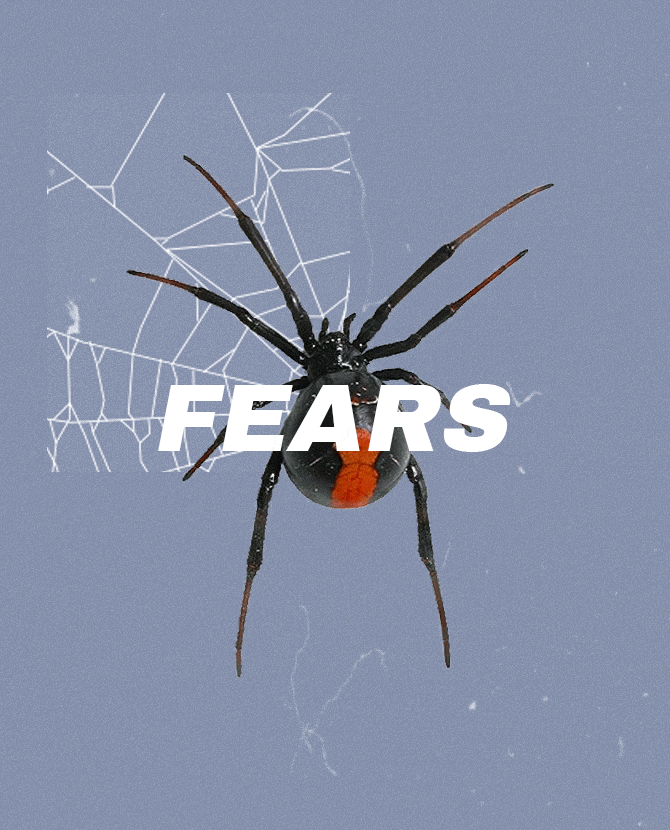 https://buro247.rs/wp-content/uploads/2019/12/fears-cover.gif