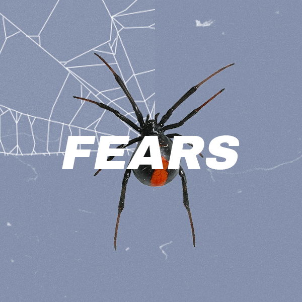 fears square 1