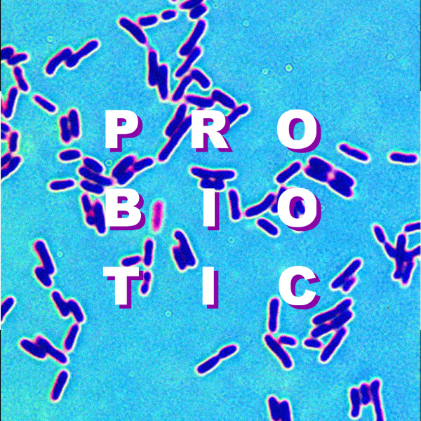 probiotic square 1