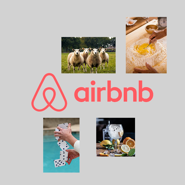 Airbnb Experiences vam nudi jednistvene online kurseve, oh, da – čak i meditaciju sa ovcama!