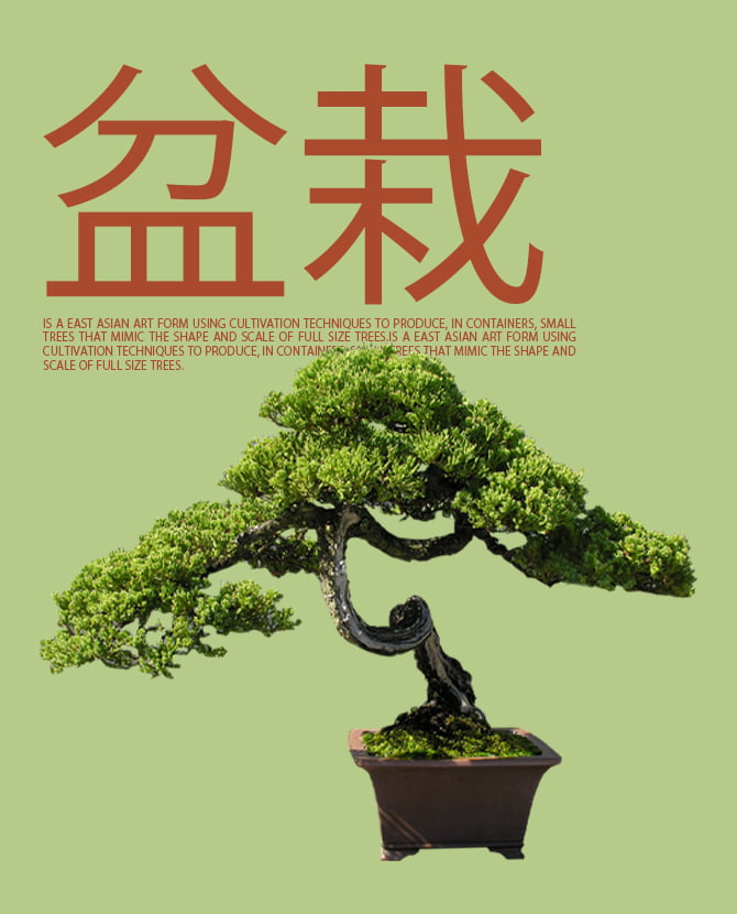 https://buro247.rs/wp-content/uploads/2020/05/bonsai_cover.jpg