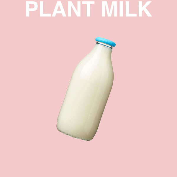 plant milk square 1