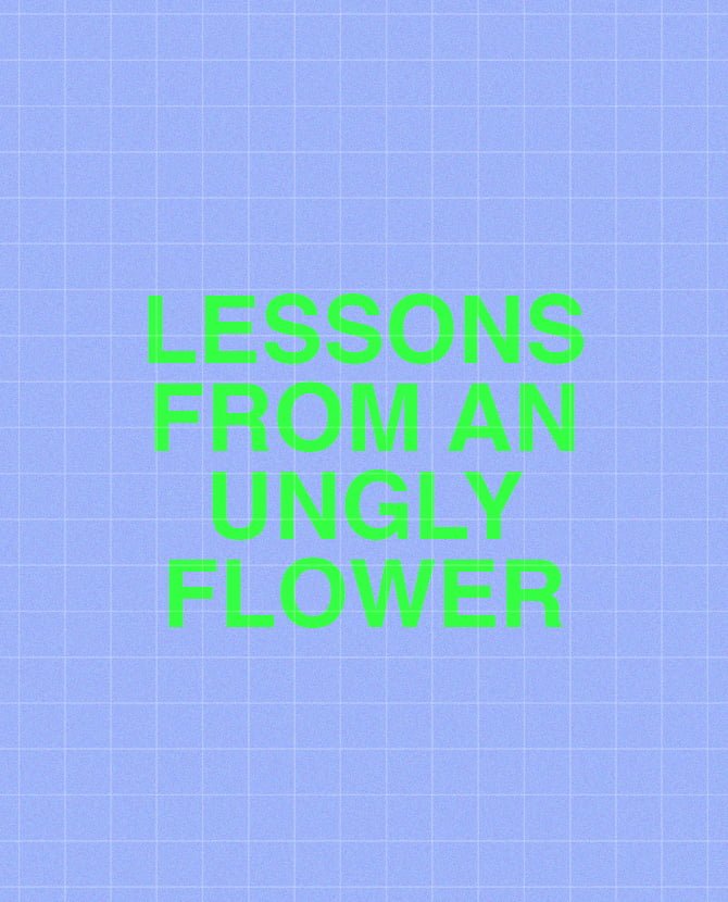 https://buro247.rs/wp-content/uploads/2020/12/ugly_flower_cover.jpg
