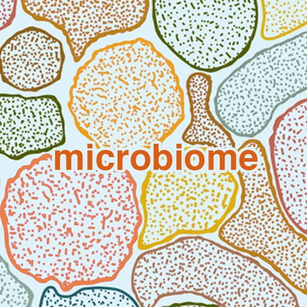 mikrobiom square