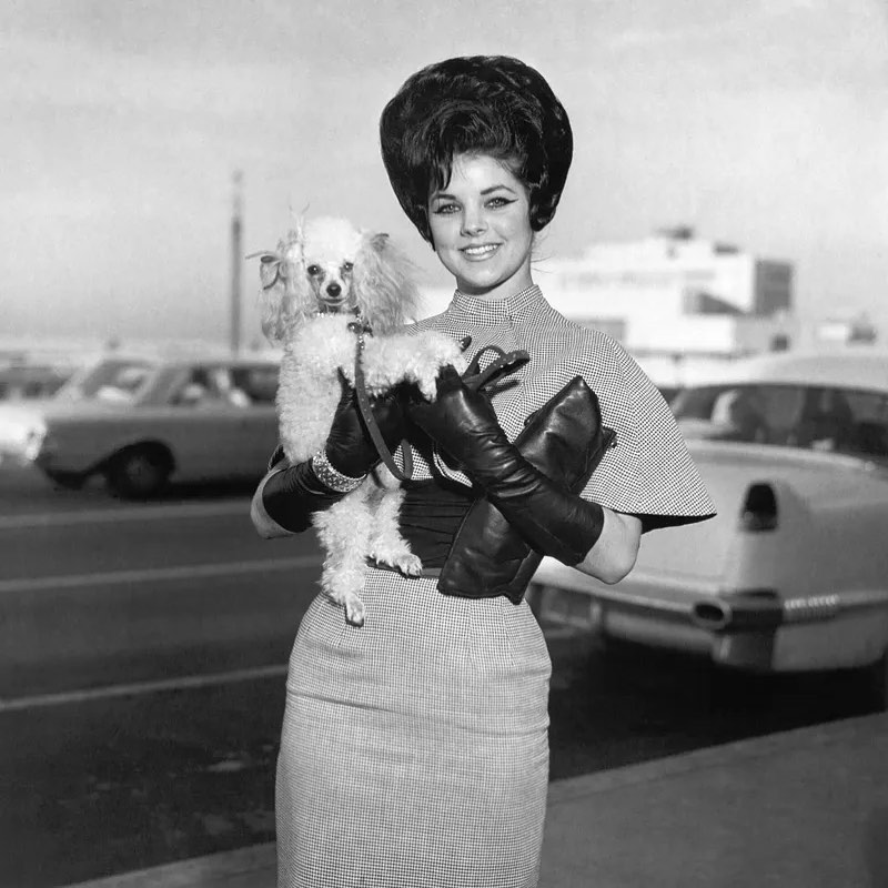 Priscilla Beaulieu with her dog Honey at Memphis International Airport. 1963 1