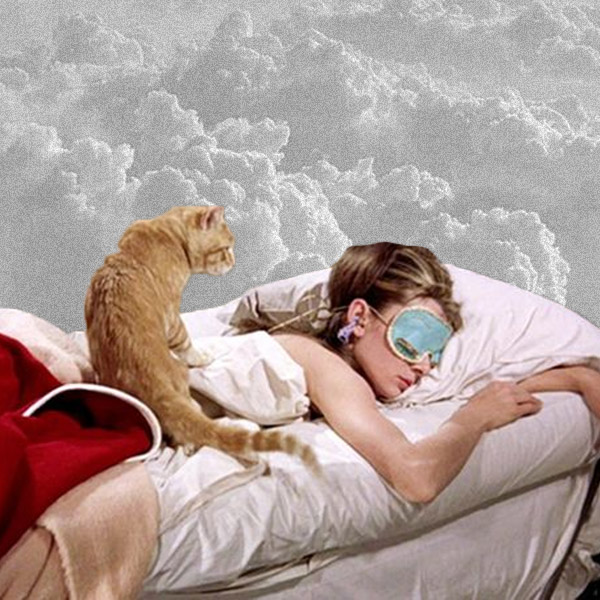 BEAUTY SLEEP: Šta Dakota Johnson i USPAVANA LEPOTICA imaju zajedničko?