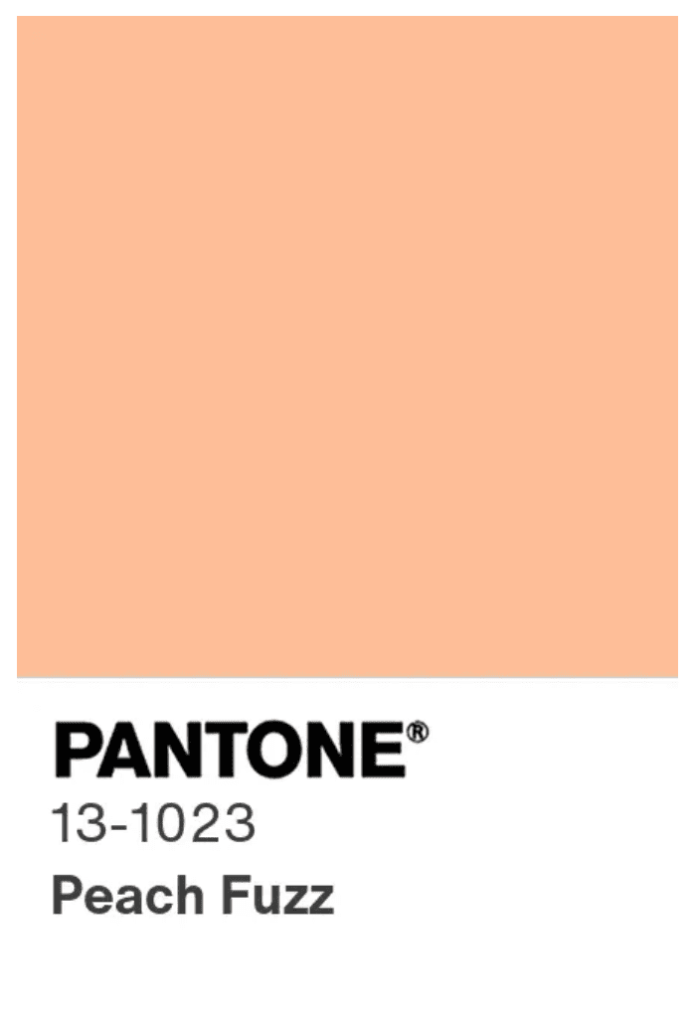 Pantone boja godine 2024 2