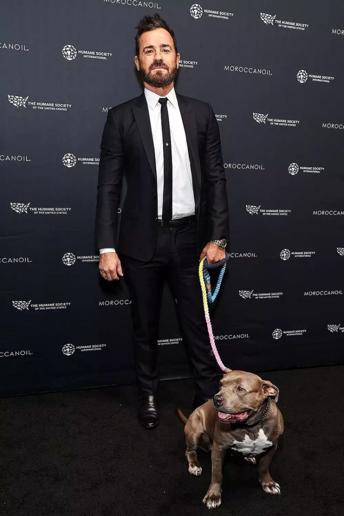 Justin Theroux Attends Humane Society Gala Alongside Dog Kuma and Actress Nicole Brydon Bloom