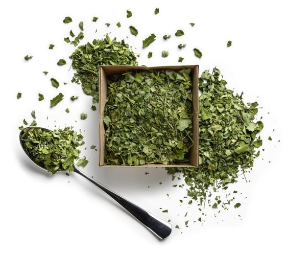 moringa