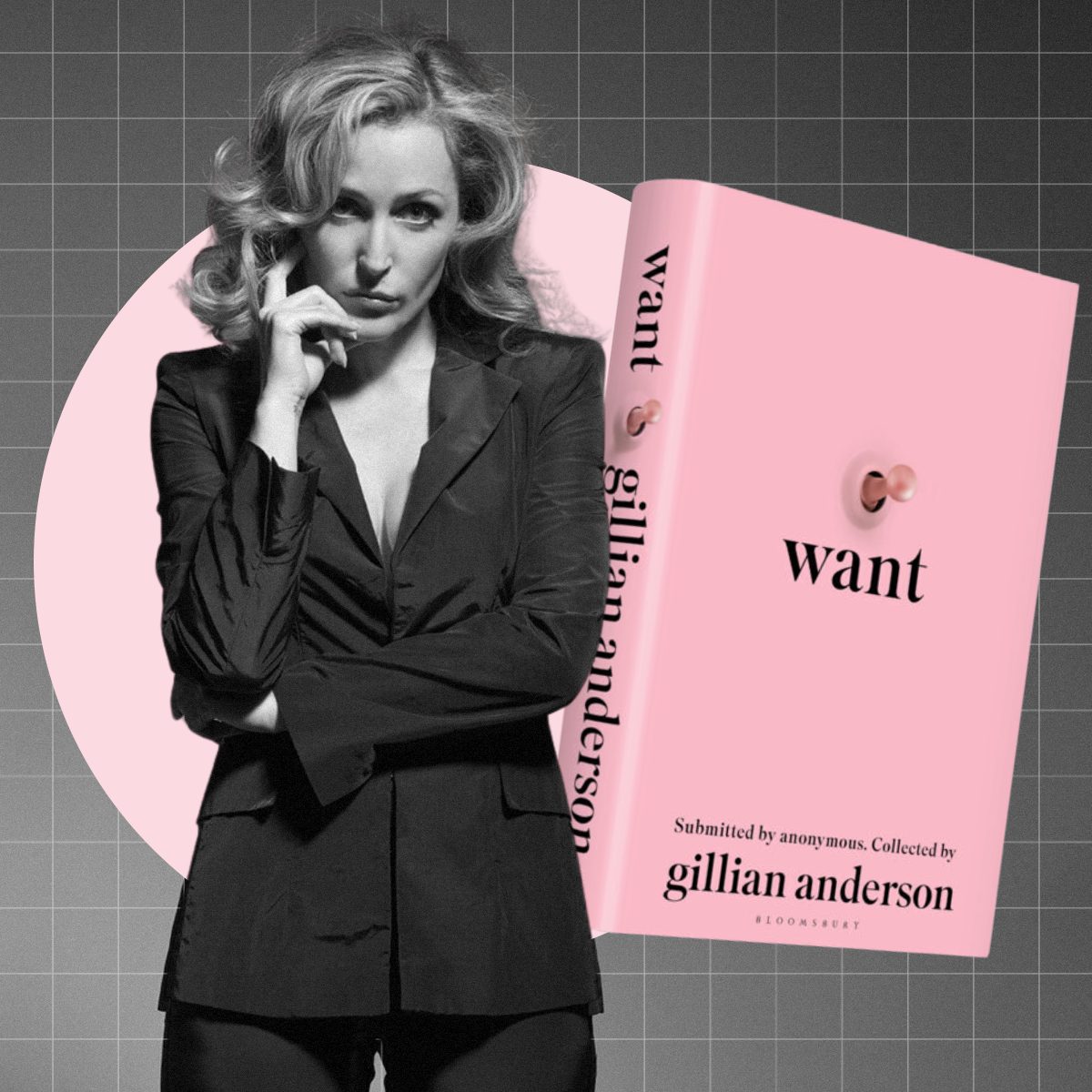 gillian anderson knjiga want