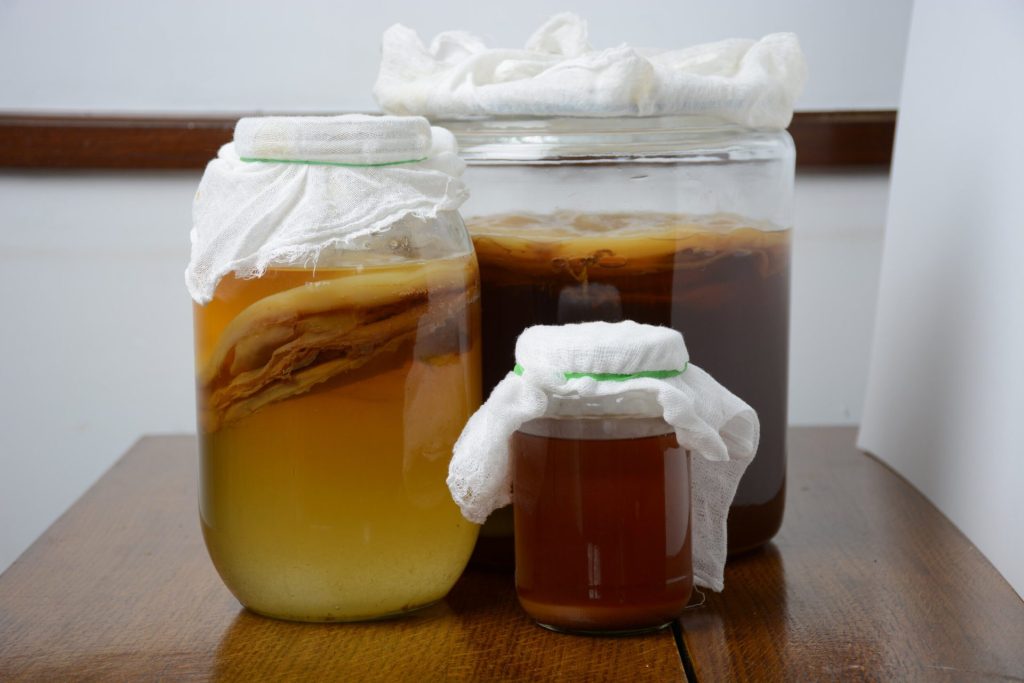 kombucha