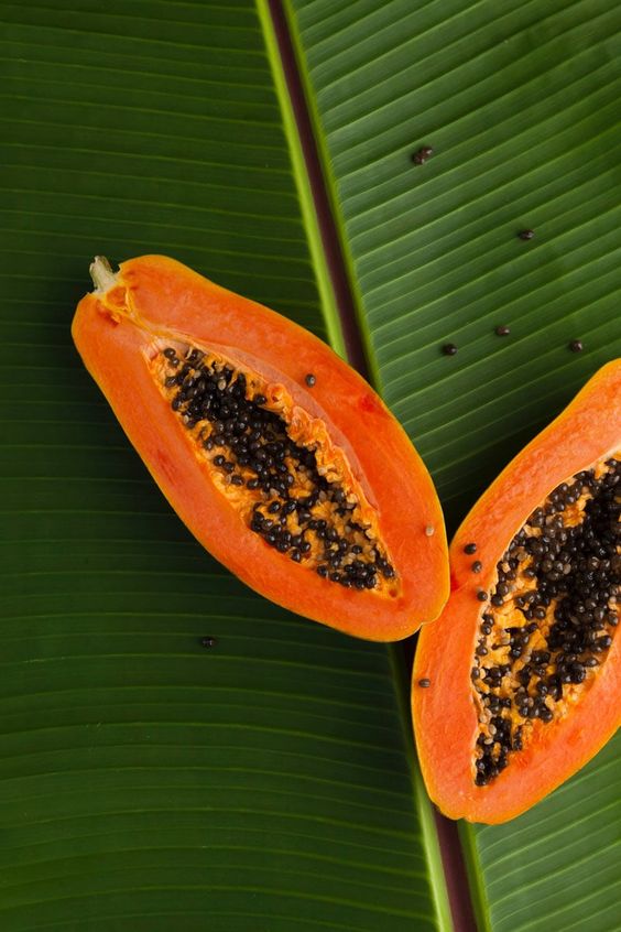 papaya hrana