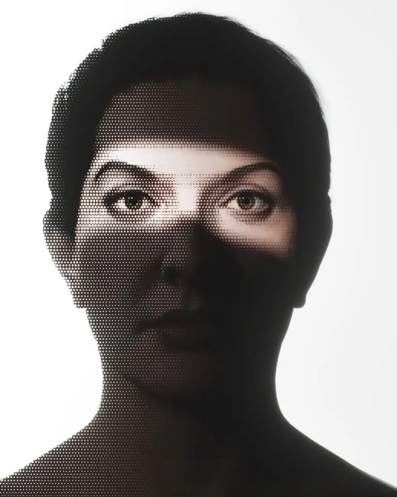 Marina Abramović i (njena) digitalna besmrtnost: Umetnost u doba NFT kristala 8 Snapins.ai 485654375 18496051690050401 142357175185035297 n 1080