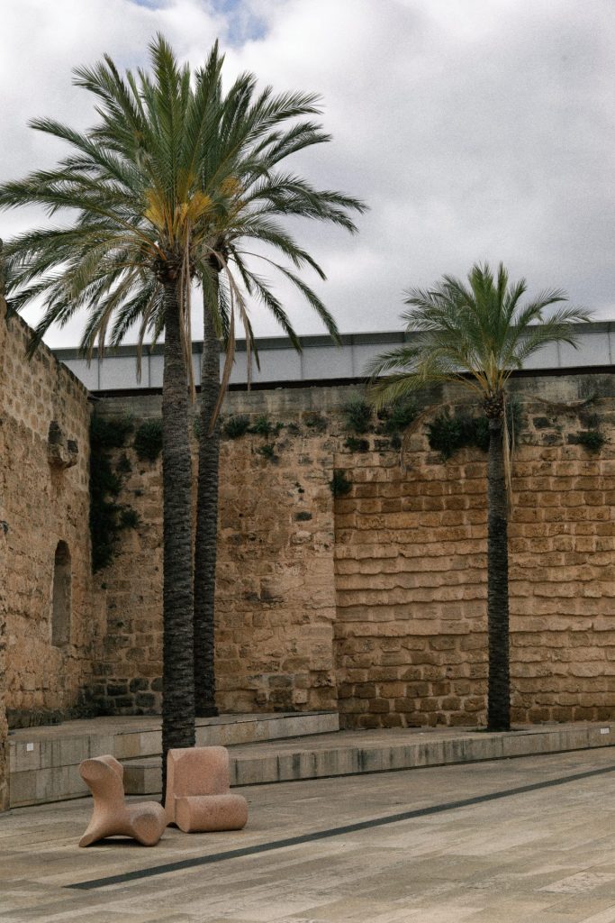 Palma de Majorka: Art & Travel s mirisom jasmina 5 CP6A6946