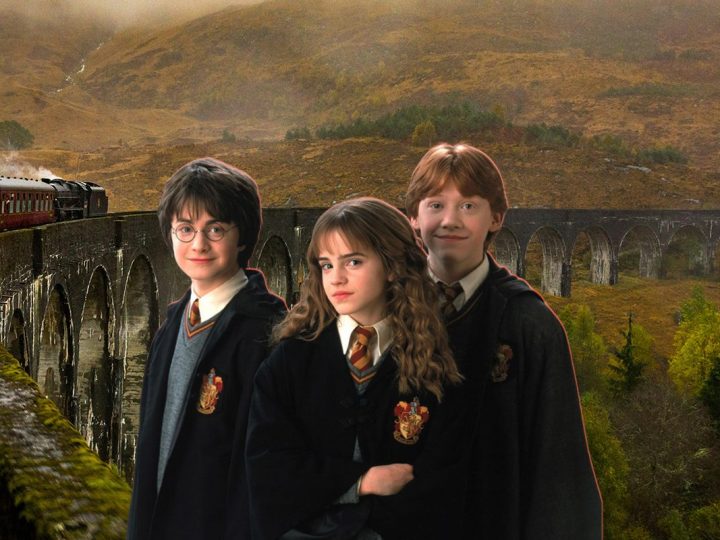 harry potter