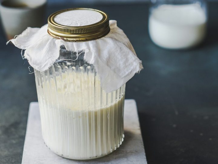 kefir