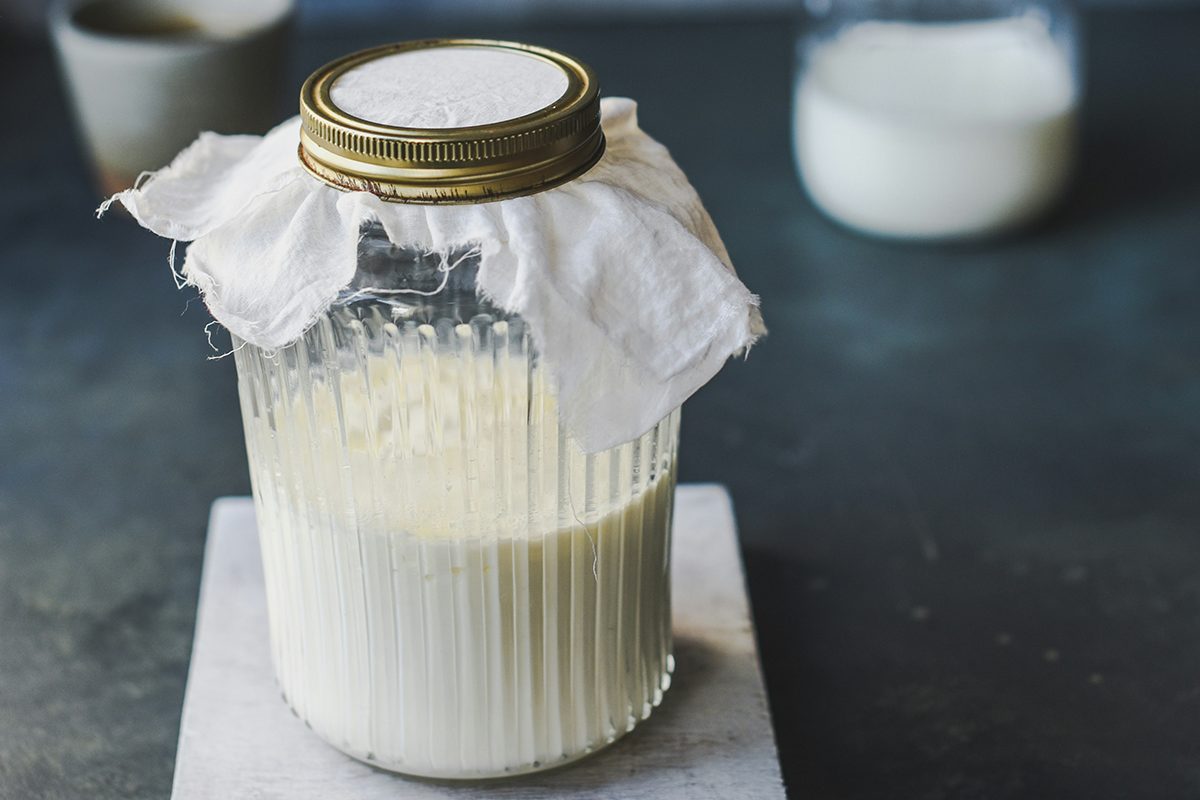 kefir