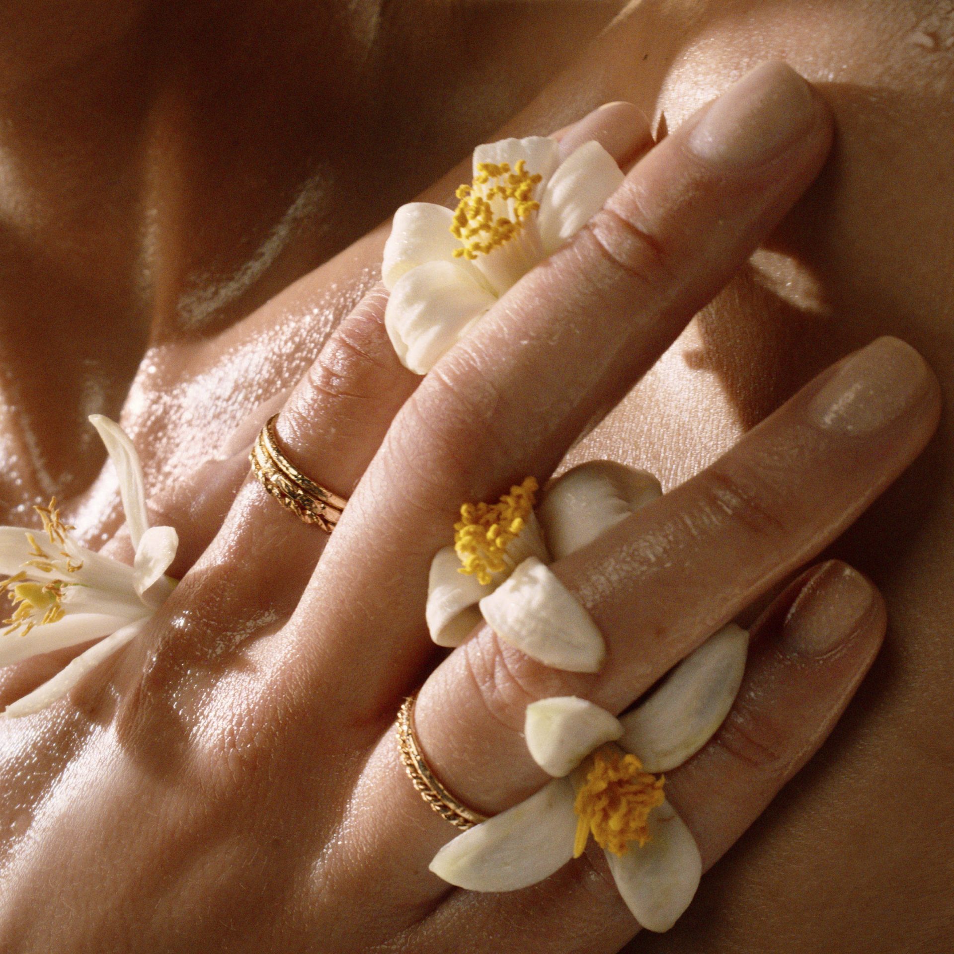 Lakoća vode, dodir svile, sjaj kože - u mirisu po kom ćemo pamtiti leto 3 ysl dmi fraw libre leau nue 25 alt view digital still life hd screenshot orange blossoms in