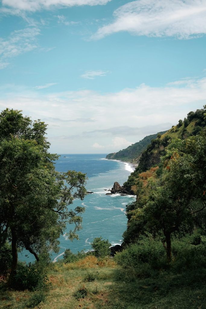 Šta je Grief Travel i koje se destinacije preporučuju 9 pexels lexi lauwers 1431940 32474354