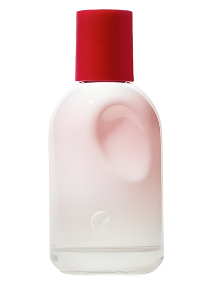 Screenshot 2025 07 21 at 11 40 24 You Glossier perfume a fragrance for women and men 2017 removebg preview
