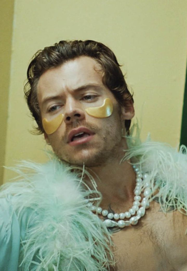 harry styles