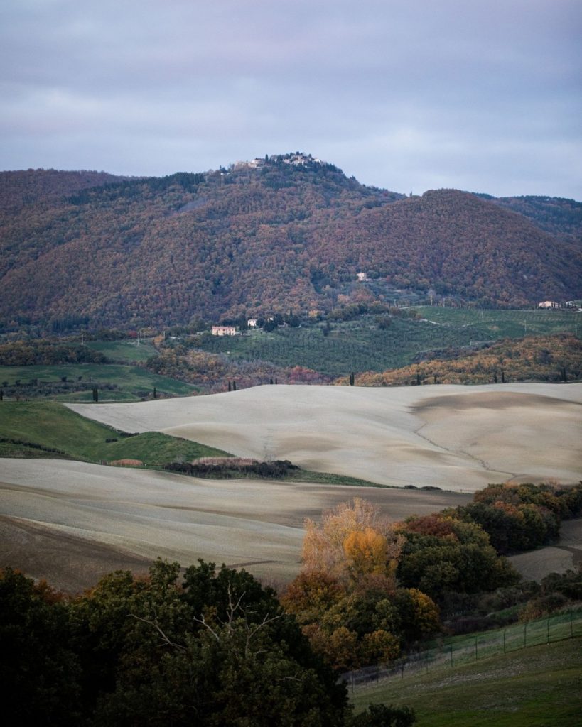 A taste of Tuscany.Join us for an immersive five day culinary escape hosted by Monteverdis @che