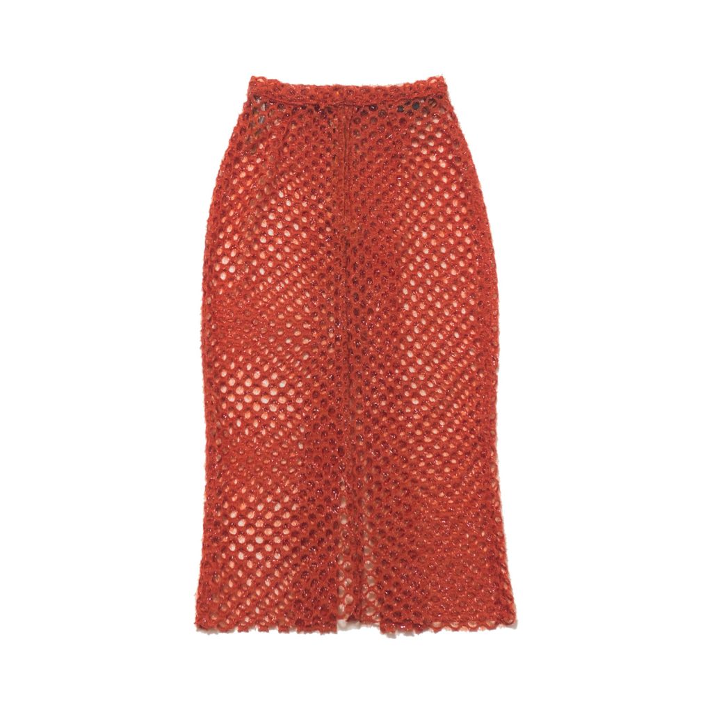 Mesh Skirt2