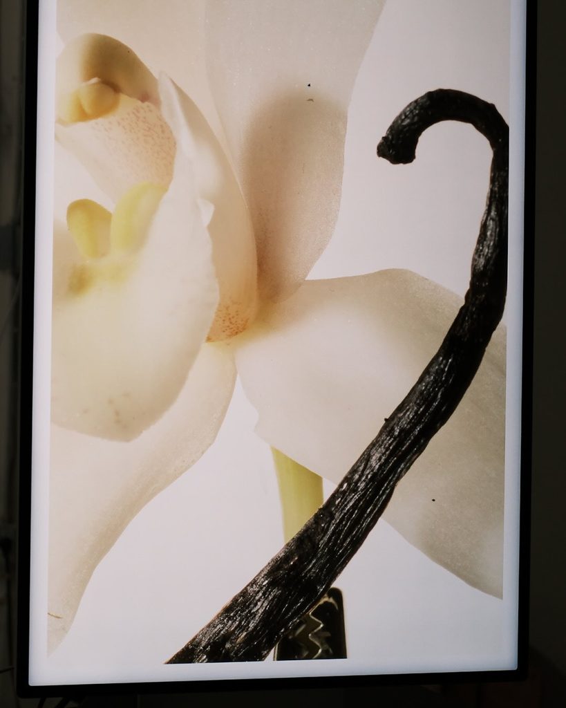 Rare Eau de Parfum is HERE. A new fine fragrance that captures the essence of a perfect moment 2