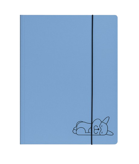 Screenshot 2025 08 18 at 12 20 38 A4 roze fascikla sa elasticnom trakom vise modela 60 RSD. Pepco removebg preview