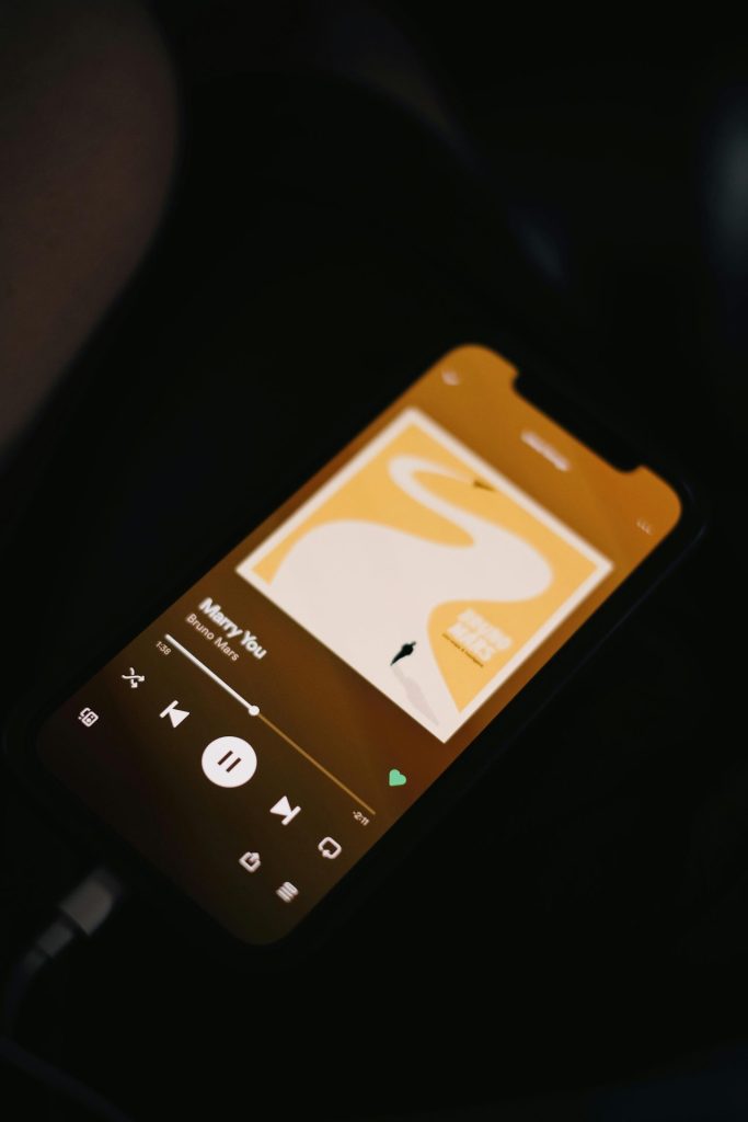 Spotify testira novu opciju: Vreme je da "uletite" u tuđe plejlistе 7 pexels nguyendesigner 11989313