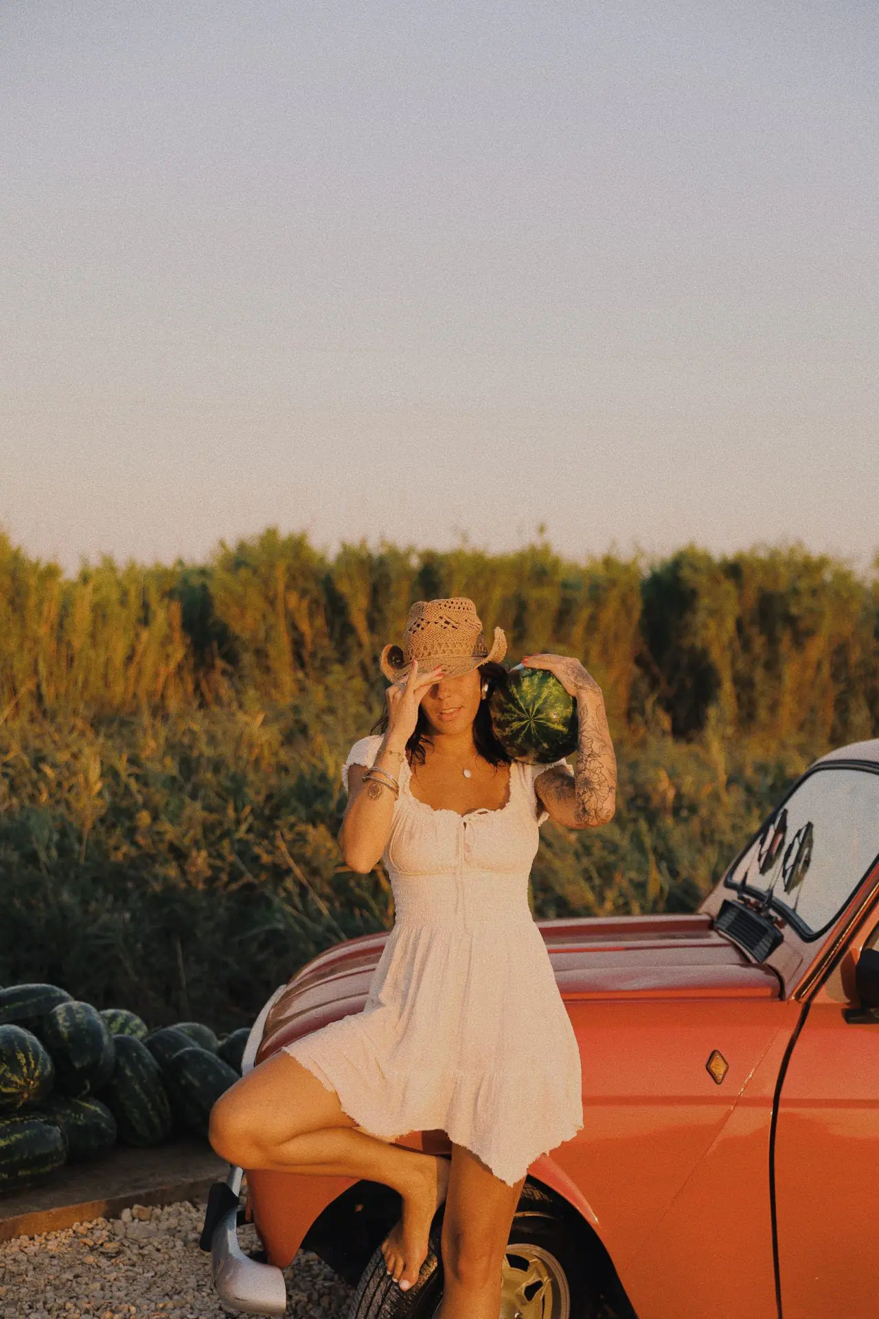 536D9F13 E071 4018 86E5 8404B4F1F718