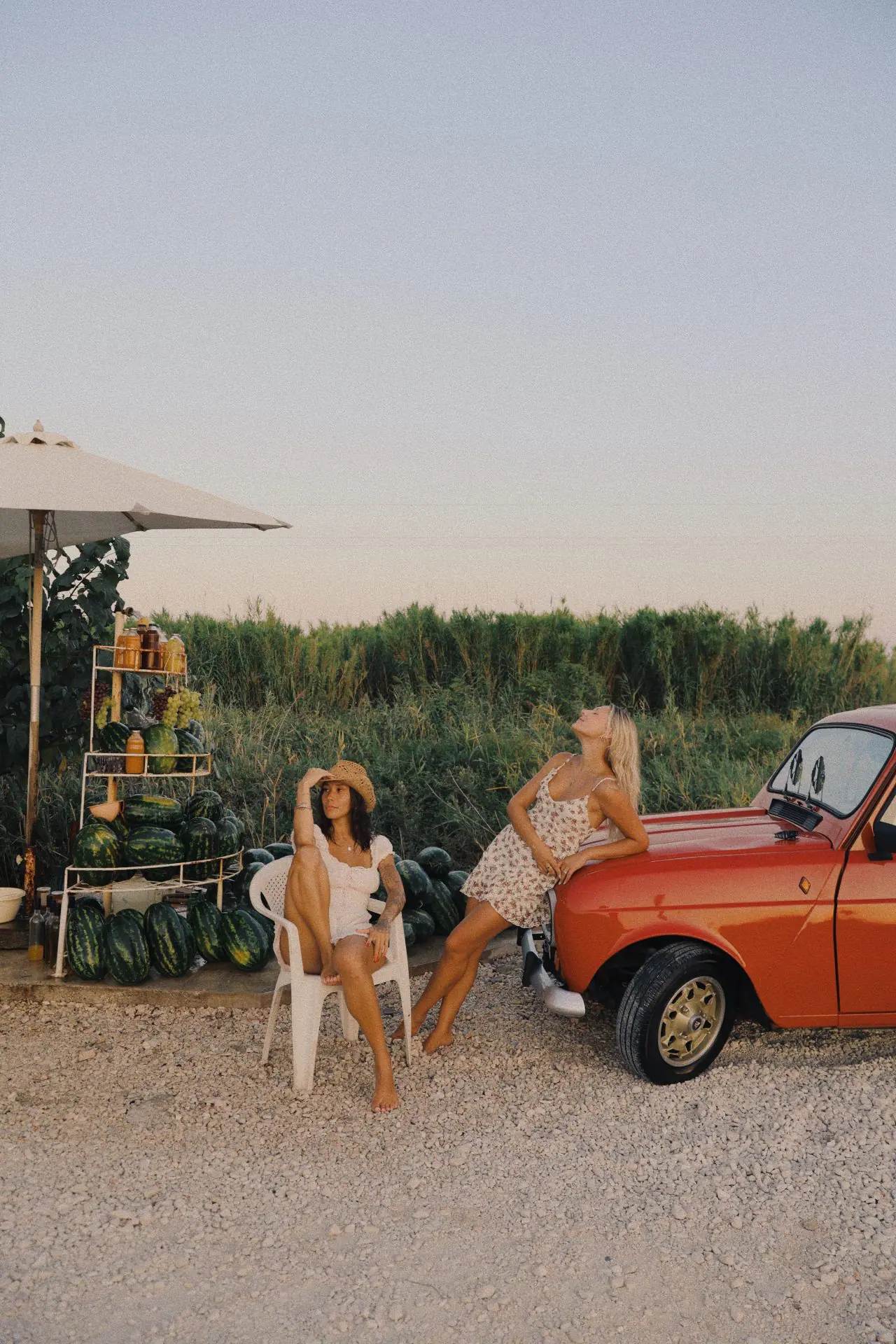 81833703 E3AF 44AF 92EC 65CB25084AC8