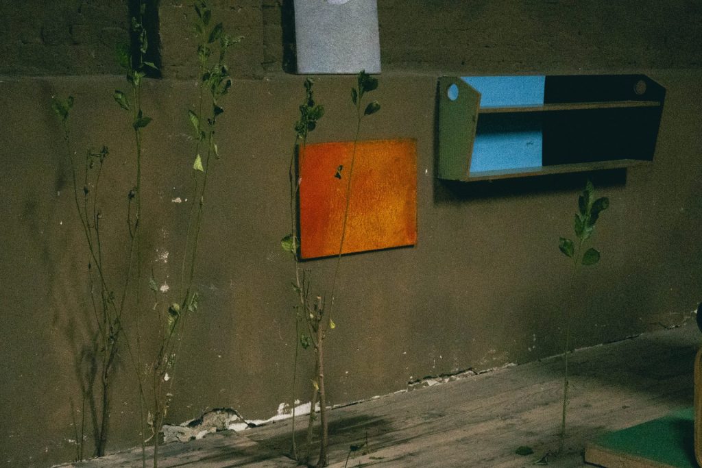 Đorđe Stanojević: Kako izgleda slikati snegom, vetrom i kišom 12 BURO djordje stanojevic 12