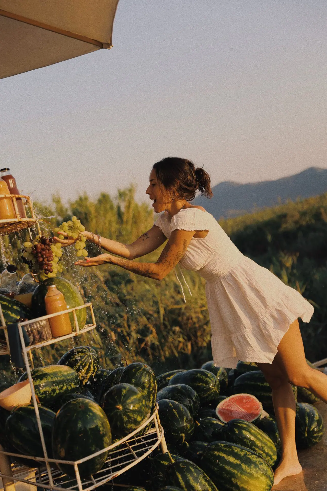 C3729225 533F 48F8 84A9 D5FD59933D71