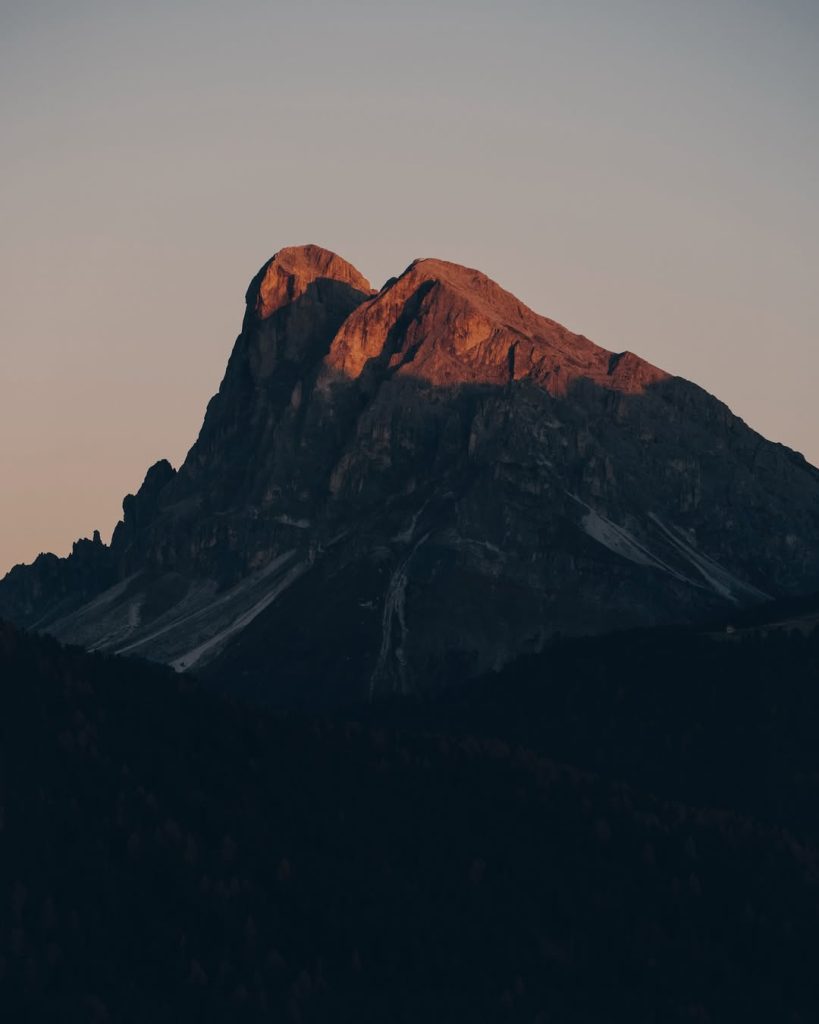 FORESTIS is designed for those who long for peace and stillness – for individuals who wish to co