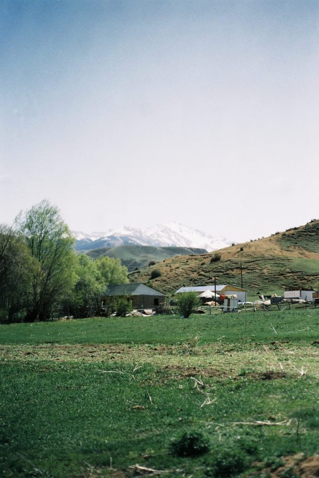 IMG 9270