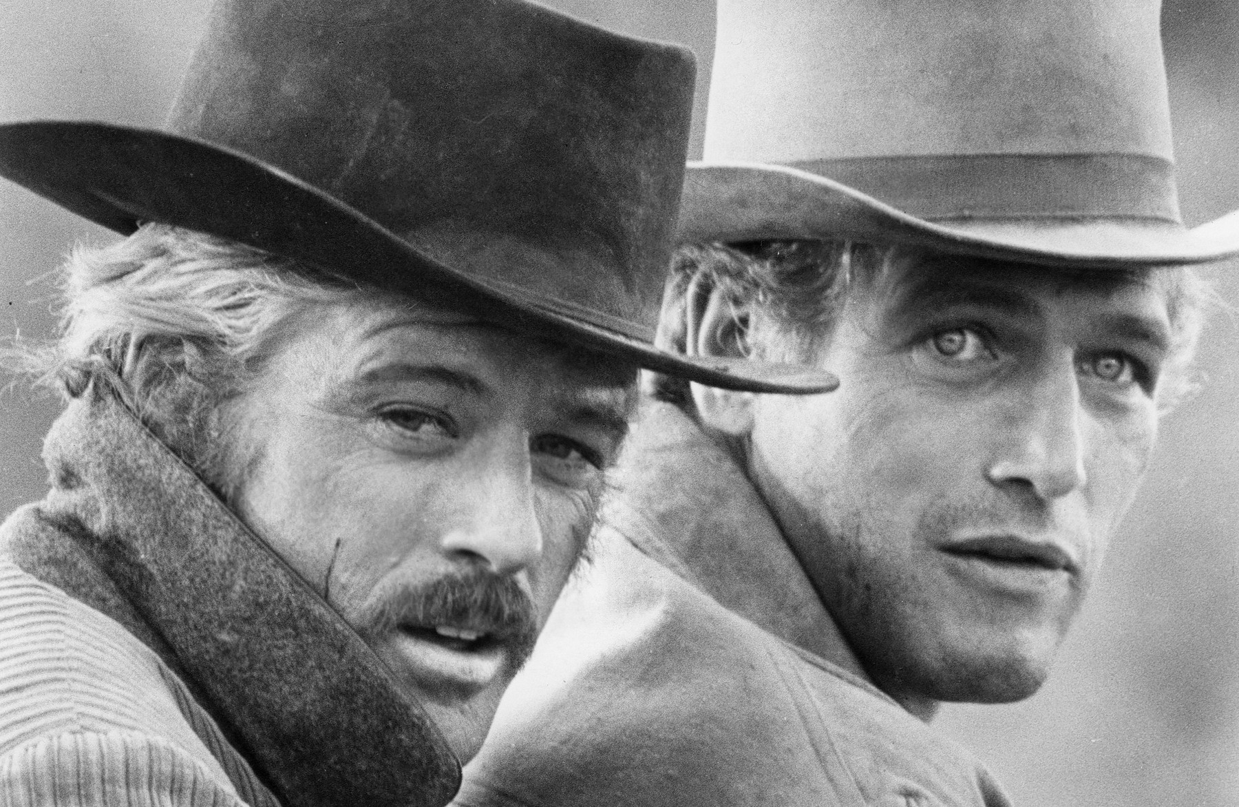 Robert Redford