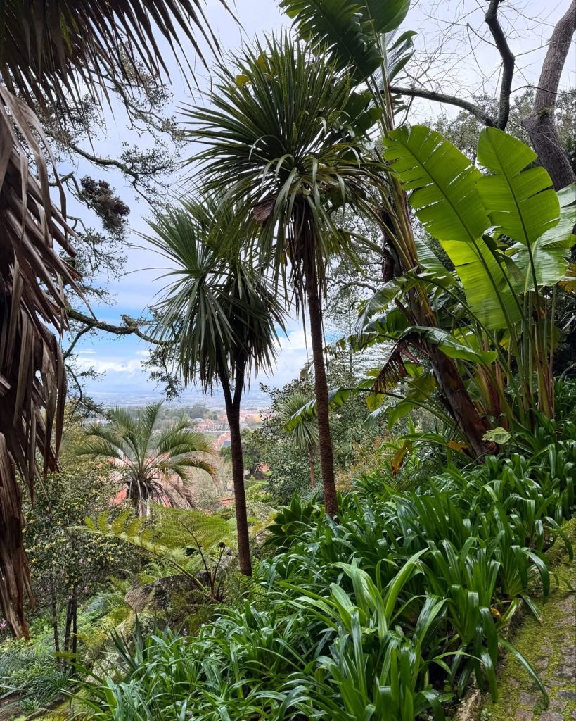 Top jesenje destinacije u Evropi koje izgledaju kao razglednica 15 HOW TO GET TO SINTRA FROM LISBONSintra is a town in Portugal located 30 km from Lisbon and well1