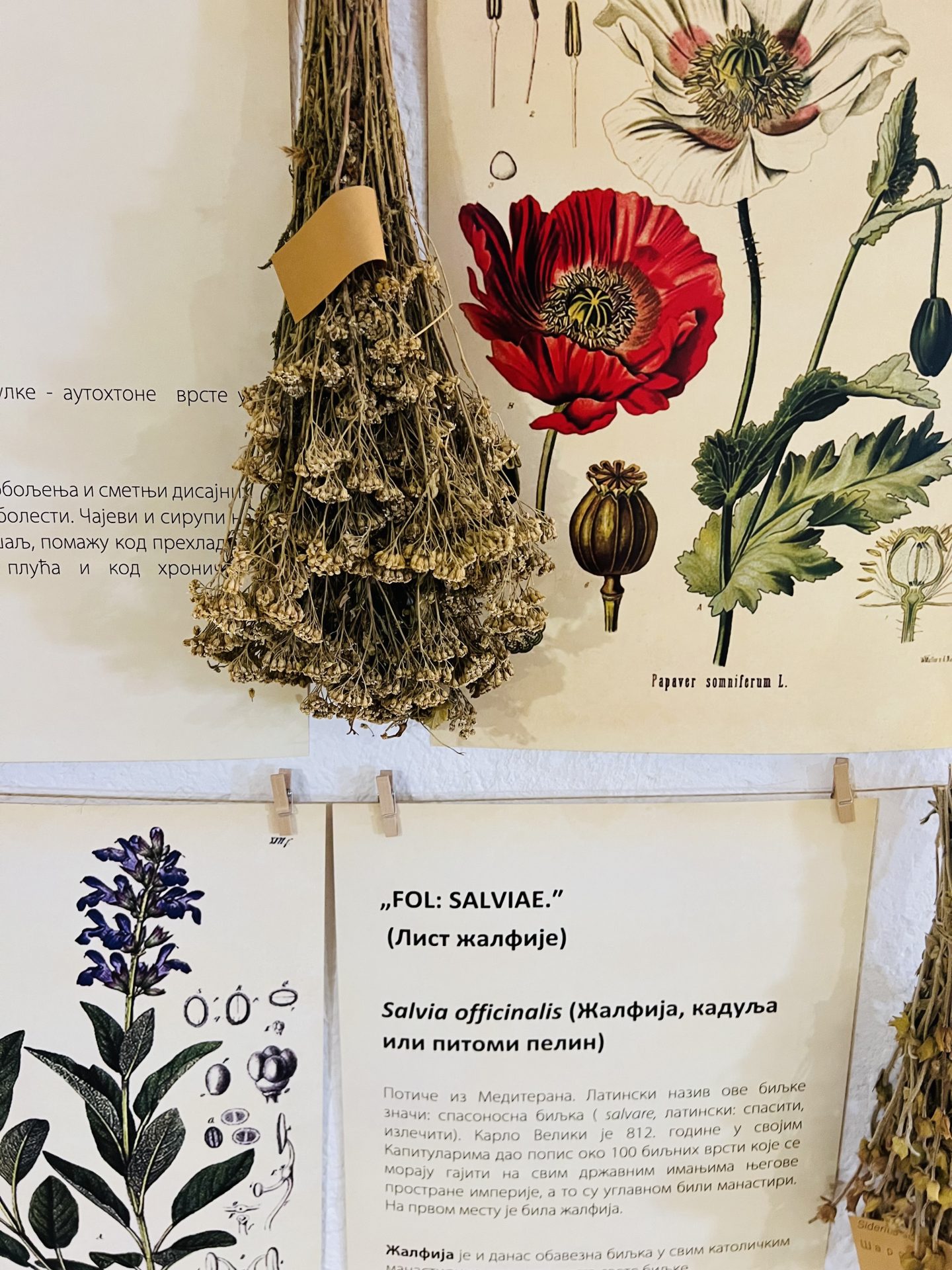 Vršac: O arhitekturi, propadanju i lepoti kao moralnoj obavezi 35 image00021