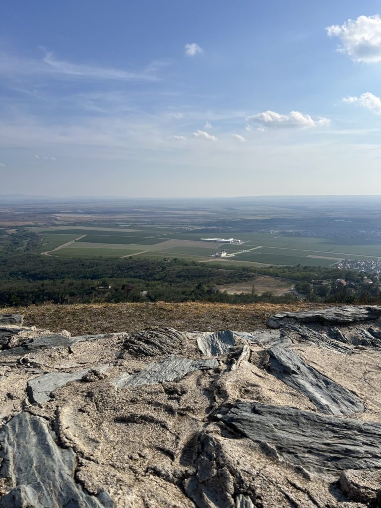 Vršac: O arhitekturi, propadanju i lepoti kao moralnoj obavezi 7 image00054 e1761043671635