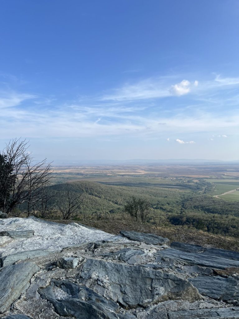 Vršac: O arhitekturi, propadanju i lepoti kao moralnoj obavezi 8 image00055 e1761043719322