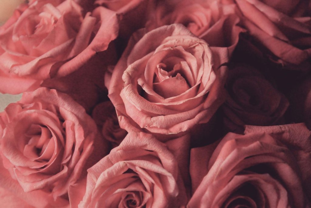 pexels isabellequinn 1447367