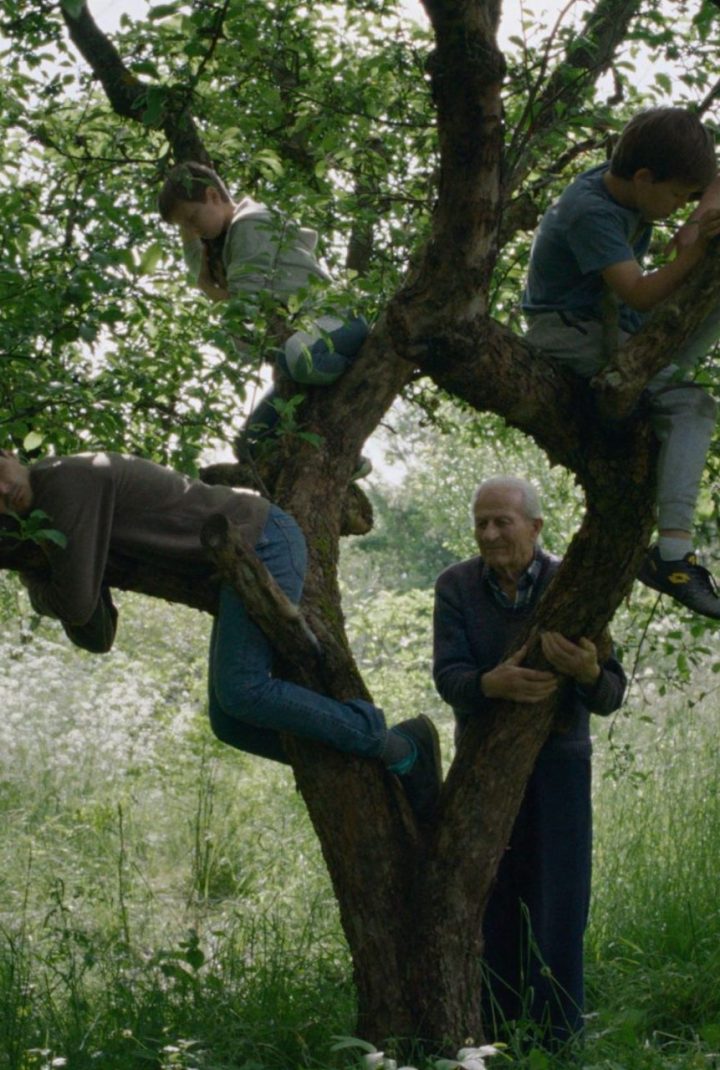 stefan film