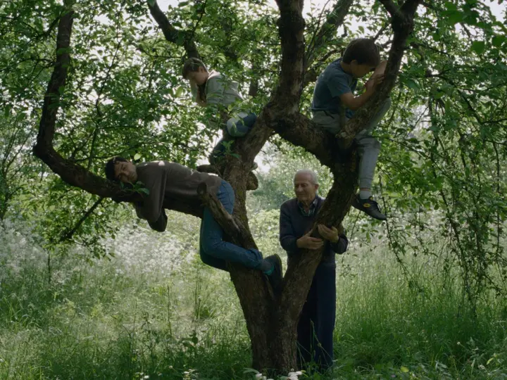 Film Stefana Đorđevića, "Vetre, pričaj sa mnom" nastavlja da niže nagrade 5 stefan film