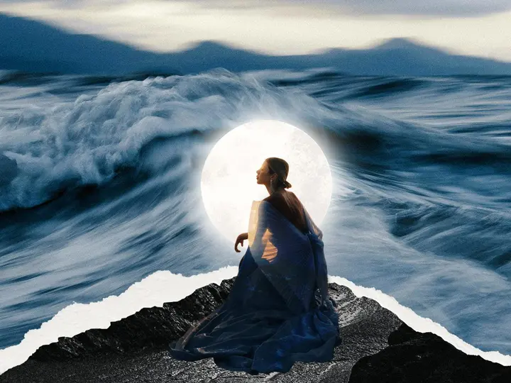 rakovi i skoljke roman