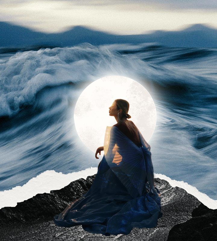 rakovi i skoljke roman