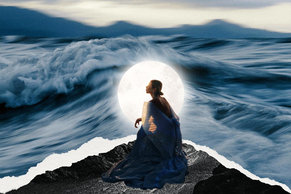 rakovi i skoljke roman