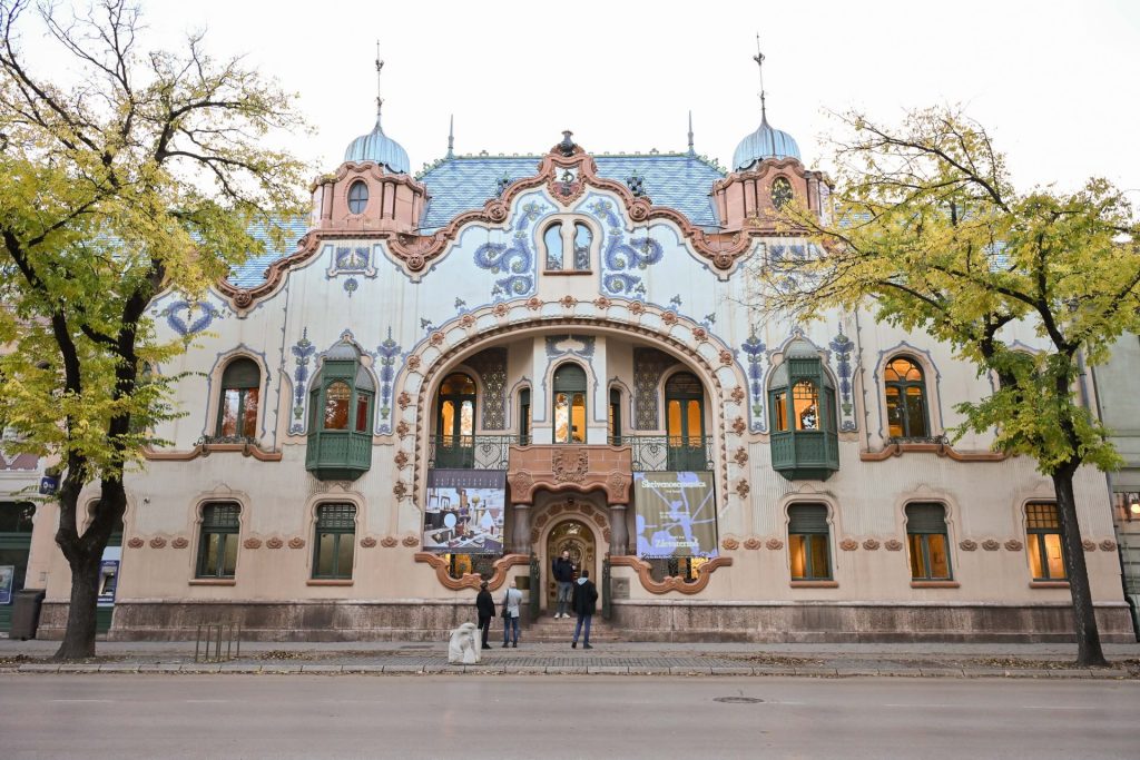 Devet soba, devet svetova: Putovanje kroz heterotopije Lane Vasiljević 7 EDY 6217